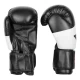 Перчатки боксерские Everlast 12oz Черный EV-12BK