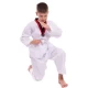 Кимоно для тхэквондо (добок) CO-012WR 130-150см белый         2 (рост 150)