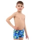 Плавки боксеры для мальчиков для плавания Динозавры 6-10лет PL-6926    8
