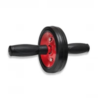 Колесо для пресса (ролик гимнастический) металлический на подшипнике усиленный Gemini Pro GI-1700R