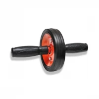 Колесо для пресса (ролик гимнастический) металлический на подшипнике усиленный Gemini Pro GI-1700OR