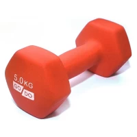 Гантели для фитнеса с виниловым матовым покрытием 2шт по 5кг GoDo GD-5.0MR