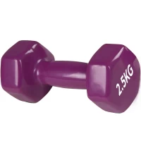 Гантель для фитнеса с виниловым покрытием 2шт G0290-2.5KG