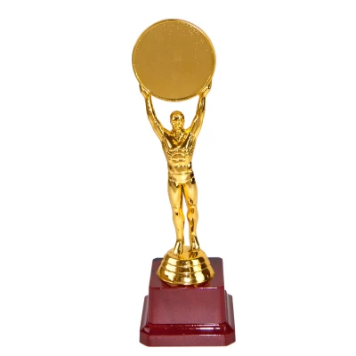 Статуэтка 57014 Человек года