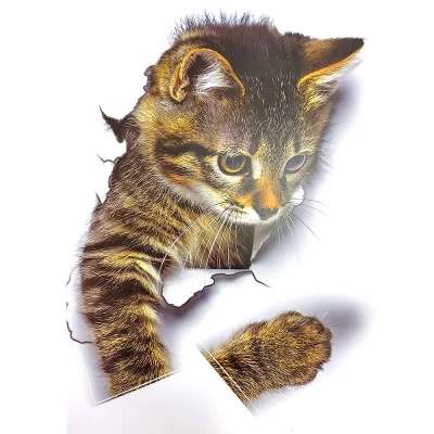 Интерьерная наклейка 3D Котик XH2003 25х16,5см