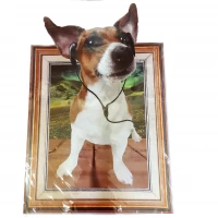 Интерьерная наклейка 3D Песик SK9214 90х60см