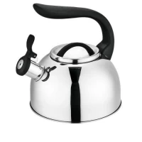 Чайник SS 2.5л одинарное дно