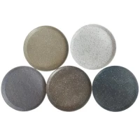 Поднос пластик 