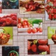Клеенка ПВХ на нетканой основе Premium уплотненная 1.37*25м