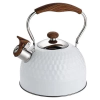Чайник SS 2.5л одинарное дно