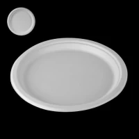 Тарелка одноразовая из сахарного тростника (багассы) 