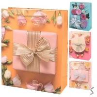 Пакет подарочный бумажный M 