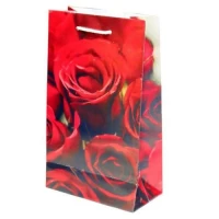 Пакет подарочный 26*15.5*8см