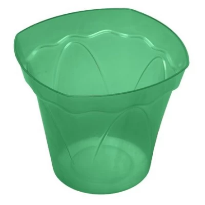 Орхидея Кашпо Орхидея Кашпо "Магнолия"