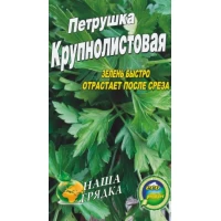 Семена Петрушка крупнолистовая 3г.