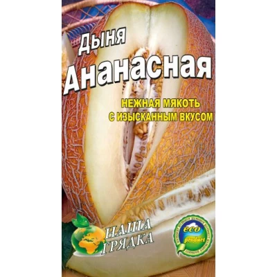 Семена Дыня Ананасная Среднеранний сорт. 40сем.