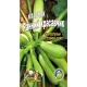 Семена  Кабачок Ранний красавчик  40сем.