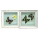 Бабочки в рамке (21х21х3 см)(AD370-4) код 25995