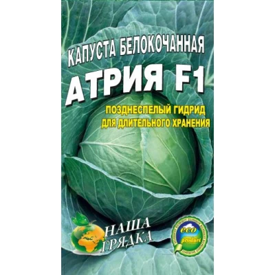 Семена  Капуста Атрия F1  среднепоздний гибрид  100сем.