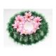 РИТУАЛЬНЫЙ ВЕНОК "СОЛНЦЕ", ЦВЕТОК-КРОКУС ОКРУГЛЫЙ D - 38 СМ (ПЛАСТИКОВЫЙ КАРКАС)