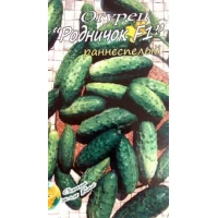 Семена Огурец  Родничок F1  Среднеранний гибрид, пчёлоопыляемый. 10сем.