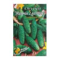 Семена Огурец  Мальчик с пальчик F1 Ранний сорт  70сем.