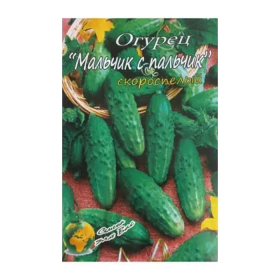 Семена Огурец  Мальчик с пальчик F1 Ранний сорт  70сем.