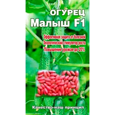 Семена Огурец  Малыш кустовой F1 Для открытого грунта. 70сем.