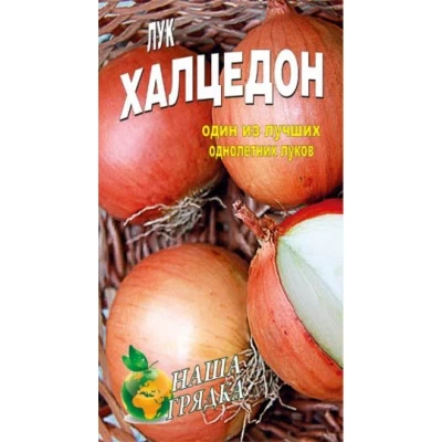 Семена  Лук Халцедон 10г Сорт среднеспелый.