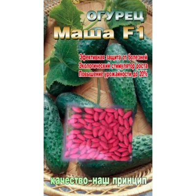 Огурец Маша F1 Ультраранний гибрид. Дражированные семена  40сем.