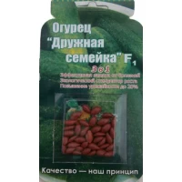 Семена Огурец  Дружная семейка F1  среднеранний.  Дражированные семена 40сем.