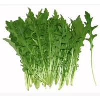 Семена Салат Руккола 3г.