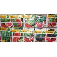 Семена арбуз Бинго большой пакет 10 г.