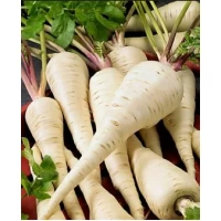 Семена  Пастернак Кулинар