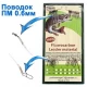 Поводок флюорокарбон ПМ 0.6мм 20см или 25см (30шт)