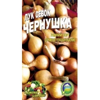 Семена  Лук чернушка на севок  Среднеранний сорт. 10г.