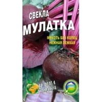 Семена Свекла Мулатка, среднеспелый сорт , 20сем