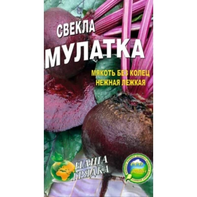 Семена Свекла Мулатка, среднеспелый сорт , 20сем