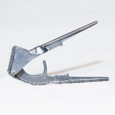 Чесночница большой зуб тяжёлая