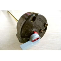 Терморегулятор 20 A RTS,с флажком