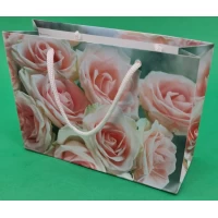 Пакет бумажный малый горизонтальный 11/18/5(арт М027) (12 шт)