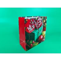 Бумажные пакеты Квадрат 23*24*10 NGKV-31 (12 шт)