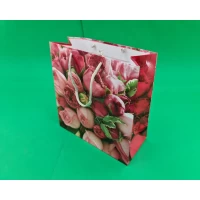 Пакет бумажный подарочный квадратный 23*24*10(артKV-008) (12 шт)