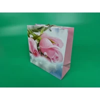 Пакет бумажный подарочный квадратный 23*24*10(артKV-086) (12 шт)