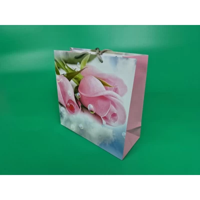 Пакет бумажный подарочный квадратный 23*24*10(артKV-086) (12 шт) Пакет бумажный подарочный квадратный 23*24*10(артKV-086) (12 шт)