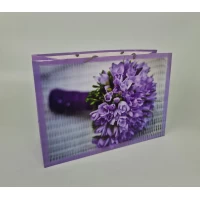 Бумажный пакет горизонтальный гигант 46*33*15 (артGG-013) (12 шт)