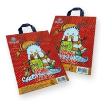 Пакет ламинированный с петлевой ручкой маленький  