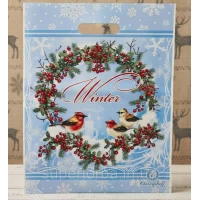 Пакеты с прорубной ручкой 29х37 