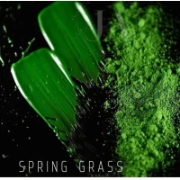 Краситель жирорастворимый SPRING GRASS - 30 мл
