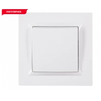 Выключатель JAZZ (белый) 9002